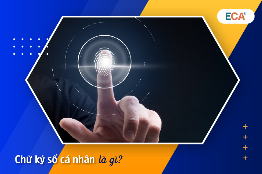 ca nhan 01 ca nhan 01